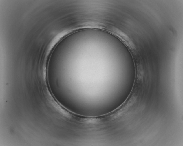 X0000111861188200907231445