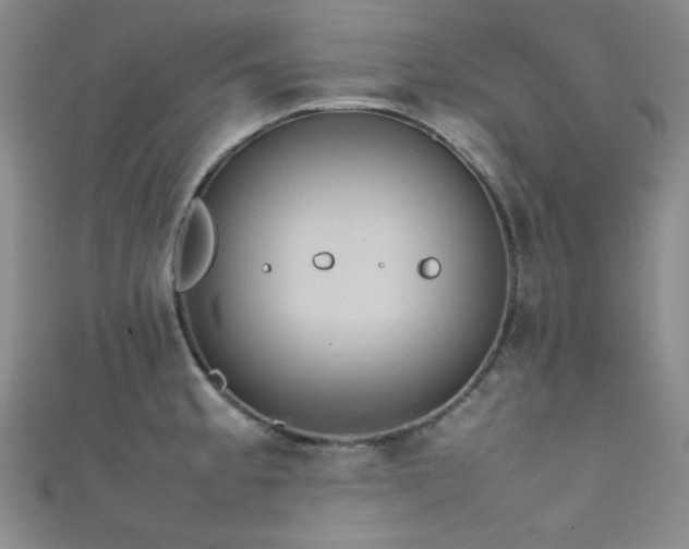 X0000111861189200907231445