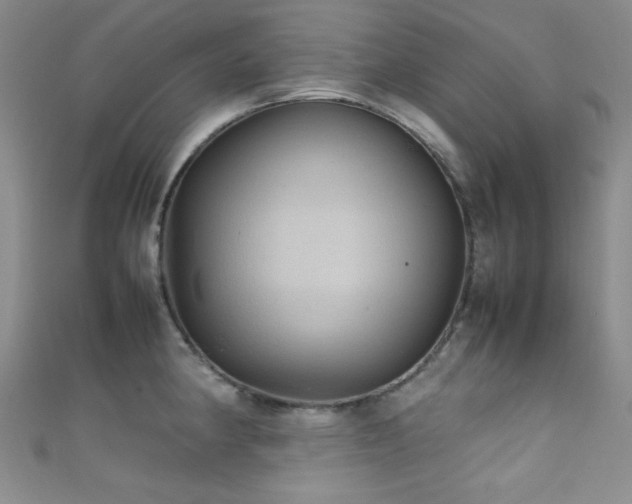 X0000111861190200907231445