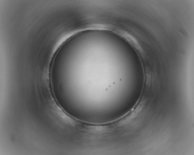 X0000111861192200907231445