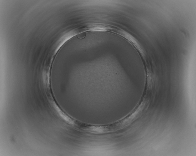 X0000111861194200907231445