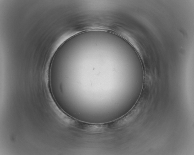 X0000111861195200907231445