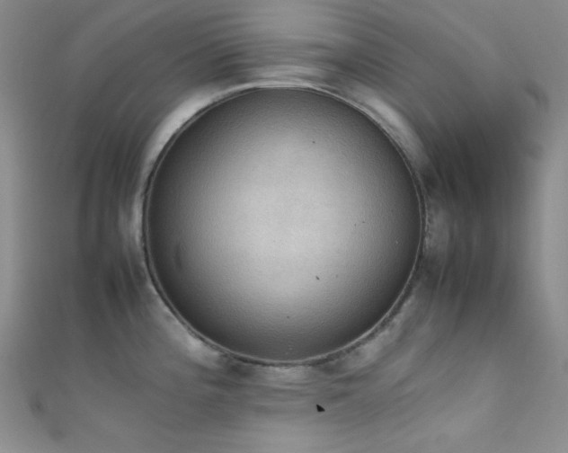 X0000111861196200907231445