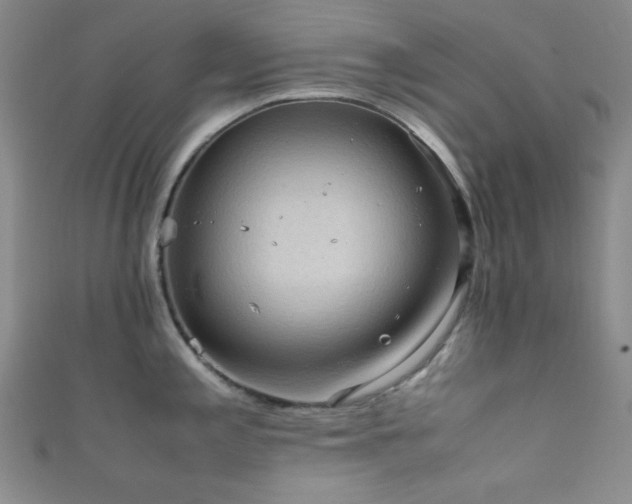 X0000111861197200907231445