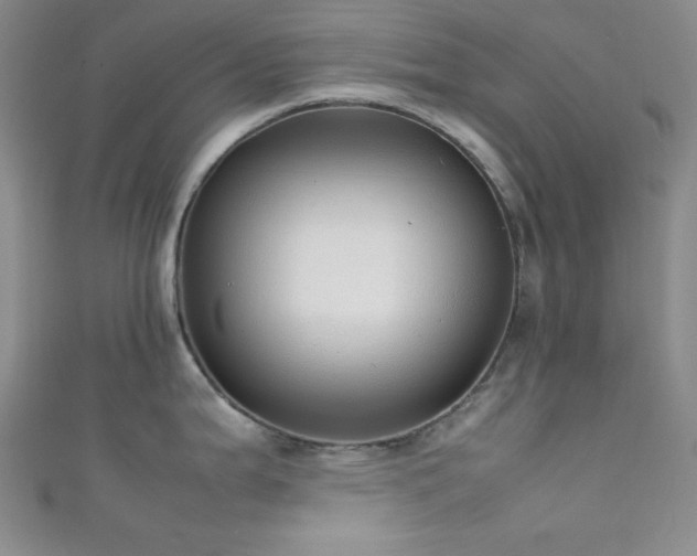 X0000111861199200907231445