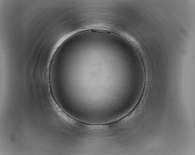 X0000111861200200907231445