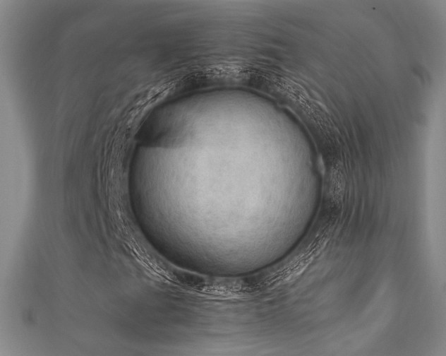 X0000111861201200907231445