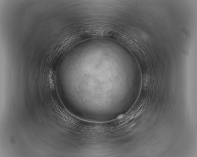 X0000111861202200907231445