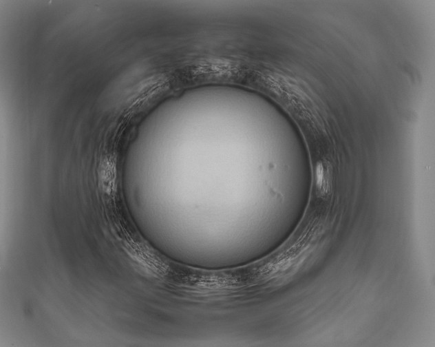 X0000111861203200907231445