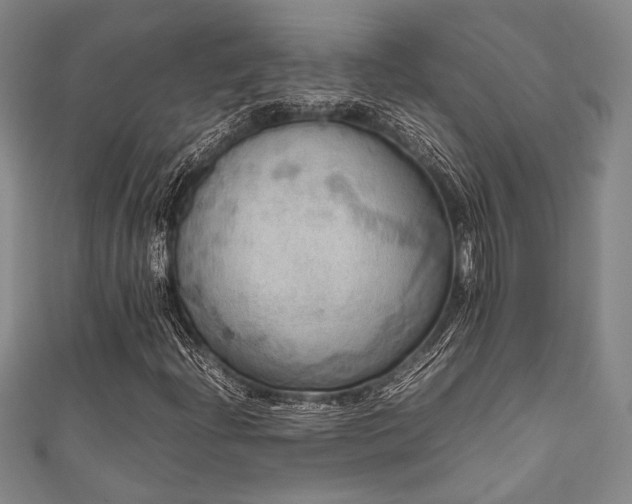 X0000111861204200907231445