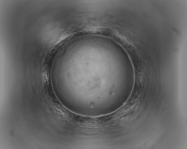 X0000111861206200907231445