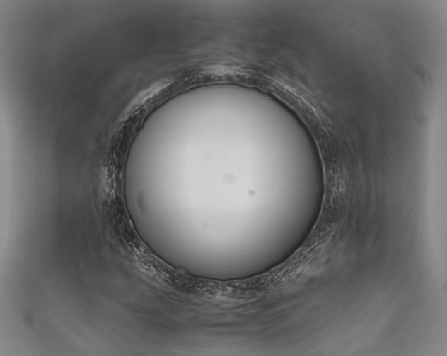 X0000111861207200907231445