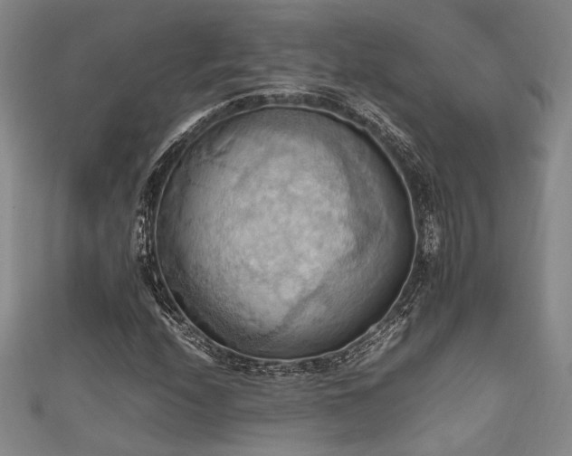 X0000111861208200907231445