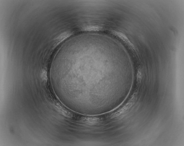 X0000111861209200907231445