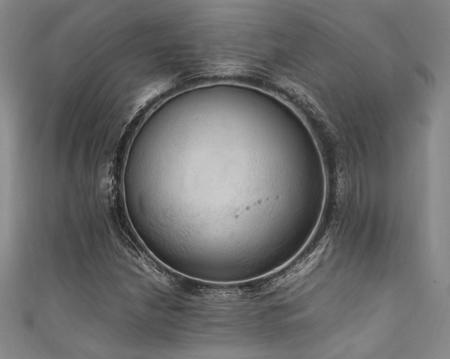 X0000111861210200907231445