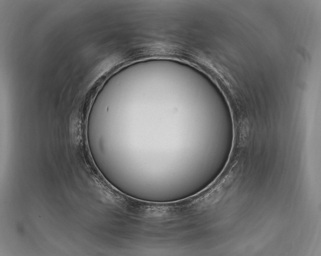 X0000111861211200907231445