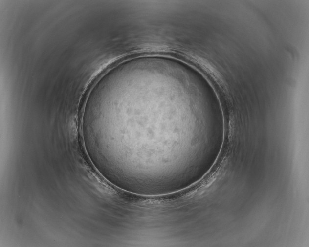 X0000111861212200907231445