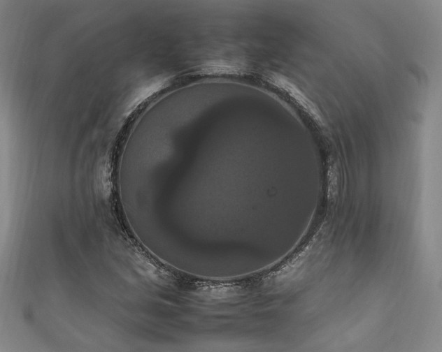 X0000111861213200907231445
