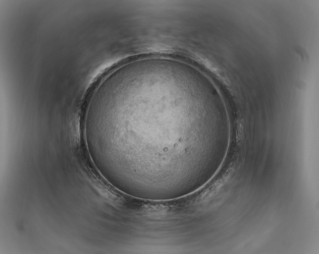 X0000111861214200907231445