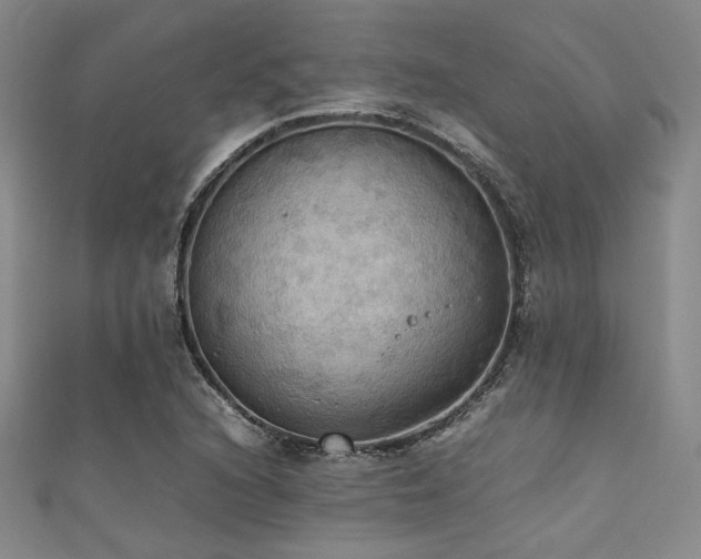 X0000111861216200907231445