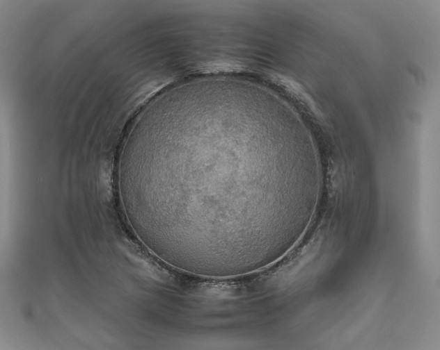 X0000111861217200907231445