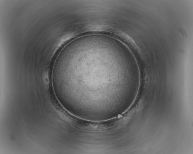 X0000111861218200907231445