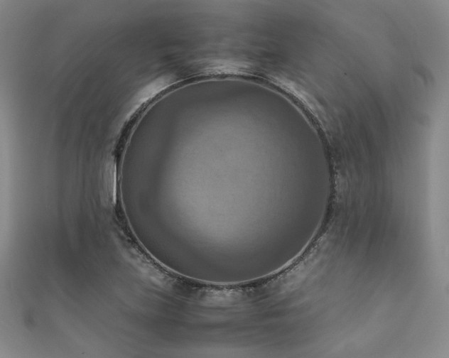 X0000111861219200907231445