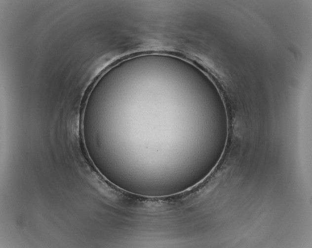 X0000111861220200907231445