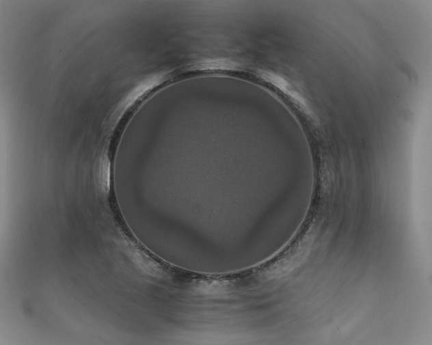 X0000111861221200907231445
