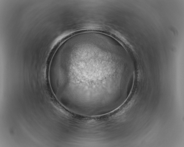 X0000111861222200907231445