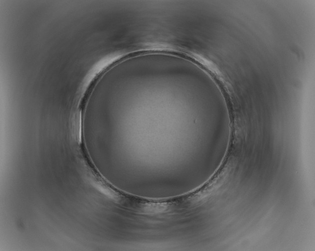 X0000111861223200907231445