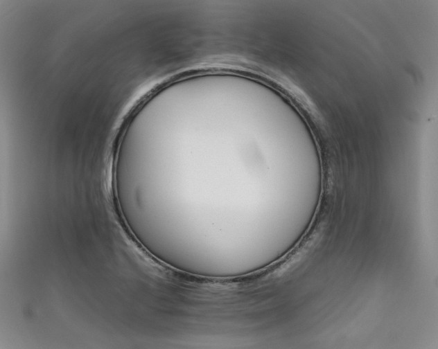X0000111861224200907231445