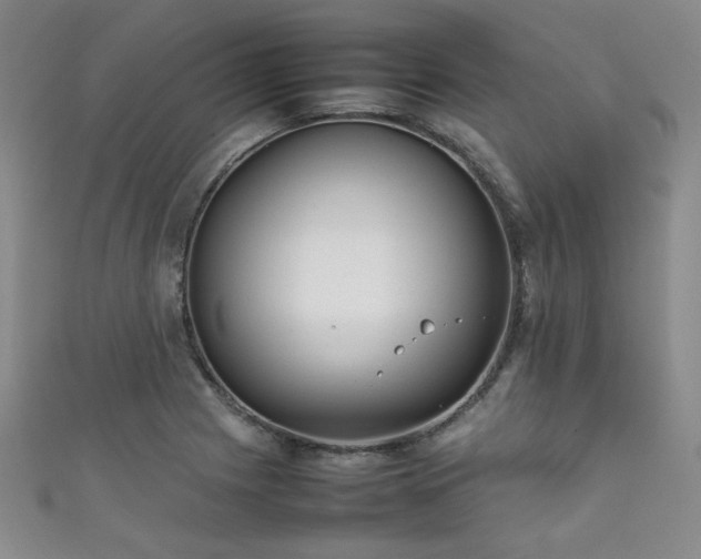 X0000111861225200907231445