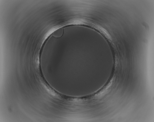 X0000111861226200907231445