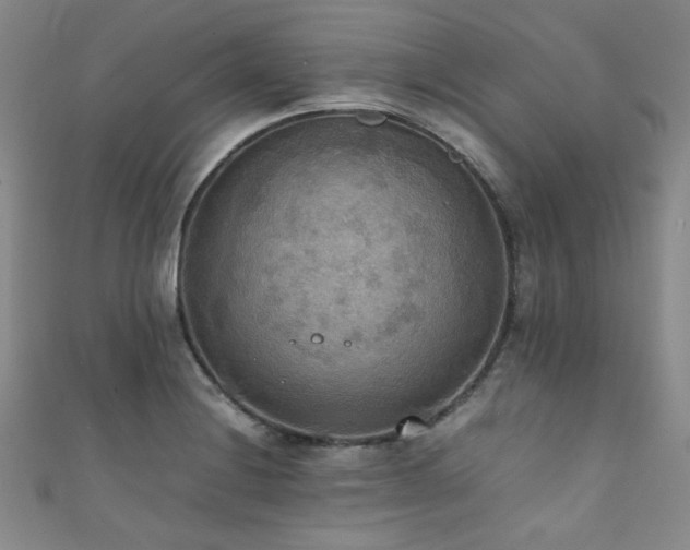 X0000111861228200907231445