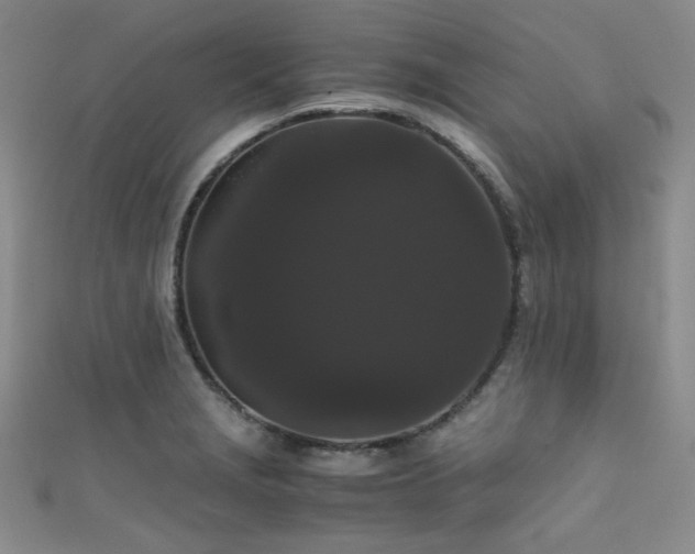 X0000111861229200907231445