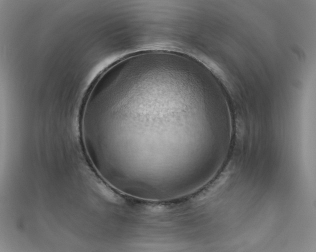 X0000111861230200907231445