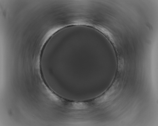 X0000111861231200907231445