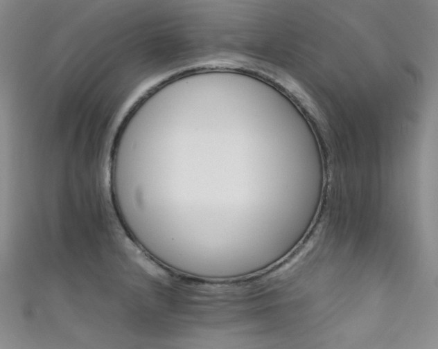 X0000111861232200907231445
