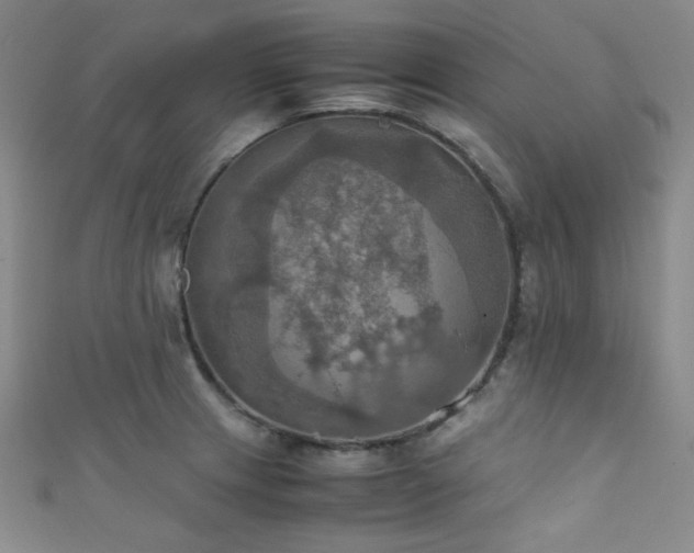 X0000111861233200907231445