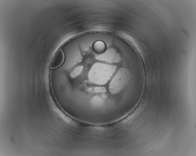 X0000111861235200907231445