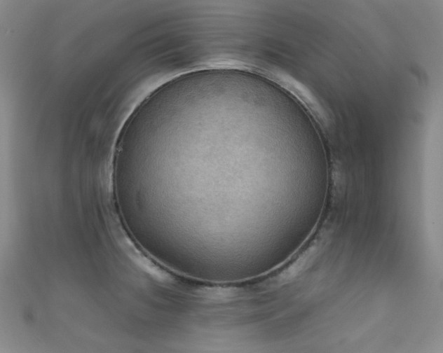 X0000111861236200907231445