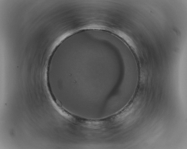 X0000111861237200907231445