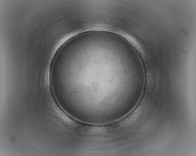 X0000111861238200907231445