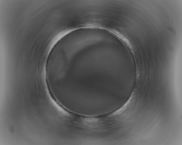 X0000111861239200907231445