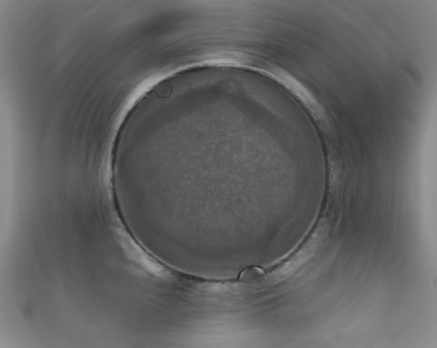 X0000111861240200907231445