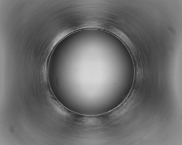 X0000111861242200907231445