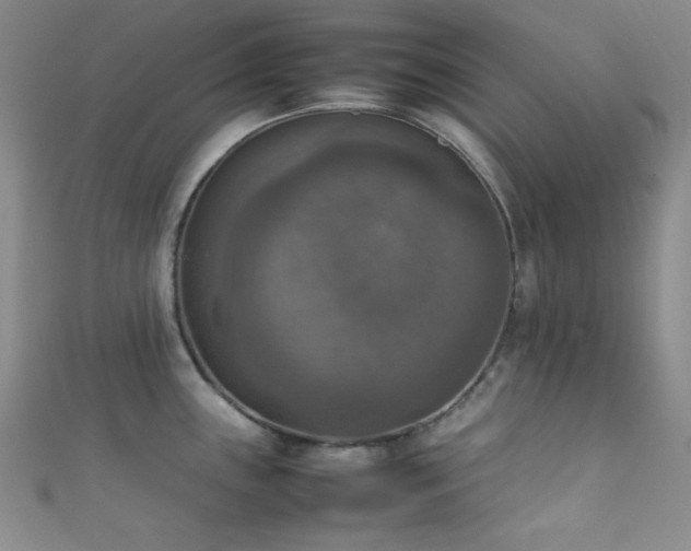 X0000111861243200907231445