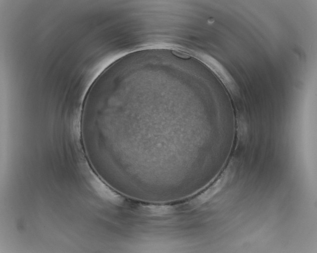 X0000111861244200907231445