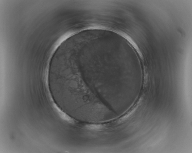 X0000111861245200907231445